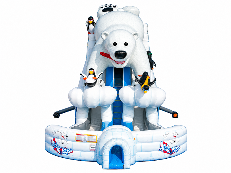 27' Arctic Plunge Double Lane Slide  Image