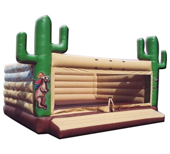 Giant Western Bouncer Image