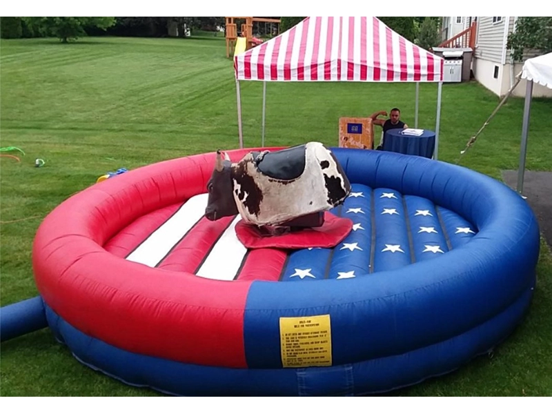 Mechanical Bull Stars and Stripes Image