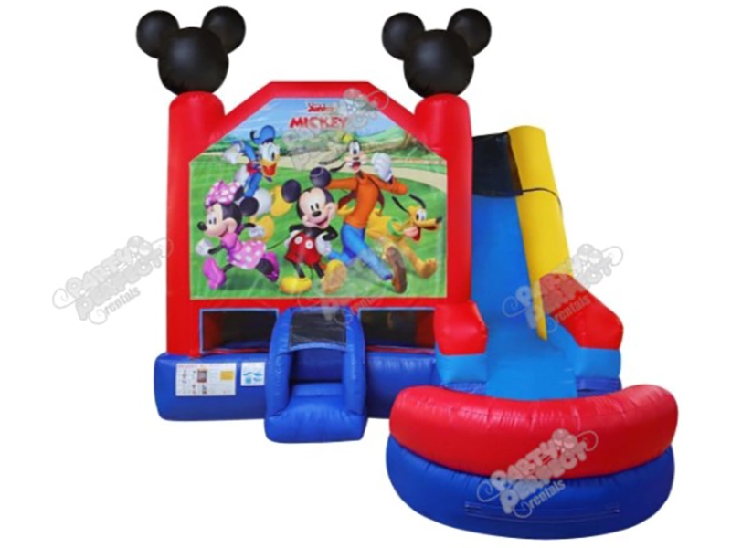 Mickey and Friends Wet Dry Combo Image