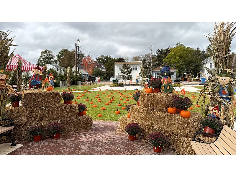 Pumpkin Patch Image
