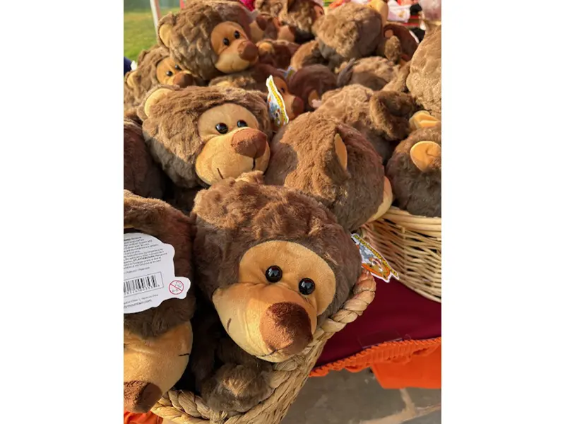 bounce house rentals new jersey images